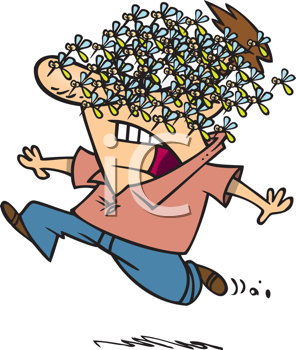 Insect Clipart