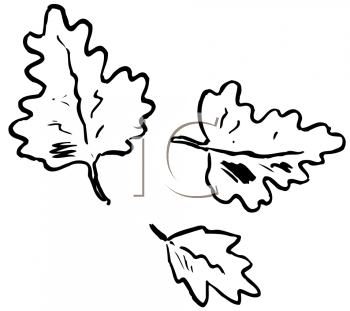 Nature and Scenic Clipart