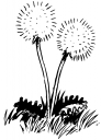 Flower Clipart