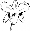Flower Clipart