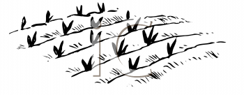 Horticulture Clipart