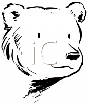 Bear Clipart