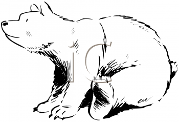Bear Clipart