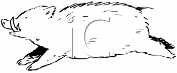 Farm Animal Clipart