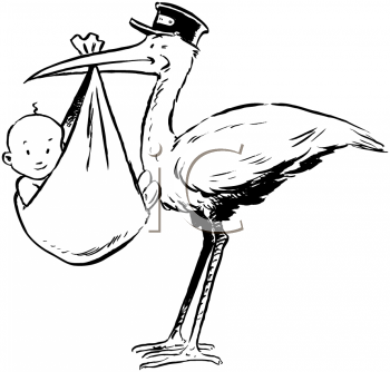 Bird Clipart
