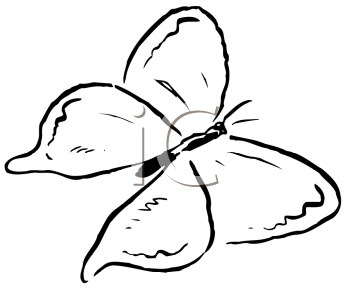 Insect Clipart