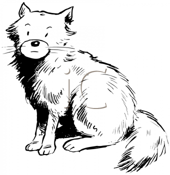 Pet Clipart