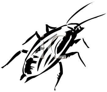 Insect Clipart
