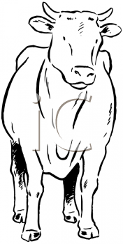 Farm Animal Clipart