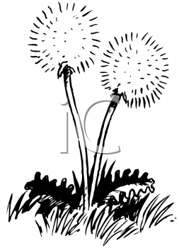 Flower Clipart