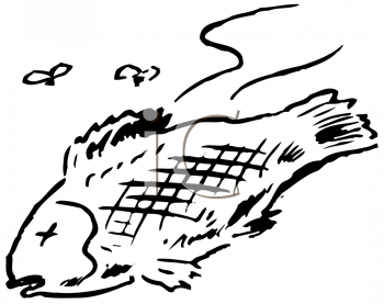 Insect Clipart