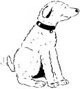 Pet Clipart