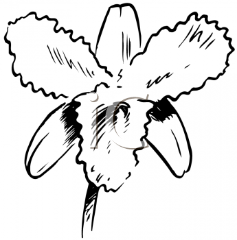 Nature and Scenic Clipart