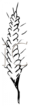 Farm Buildings Clipart