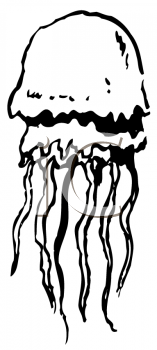 Aquatic Animals Clipart