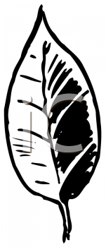 Nature and Scenic Clipart