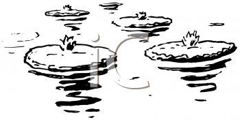 Nature and Scenic Clipart
