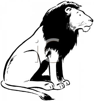 Big Cat Clipart