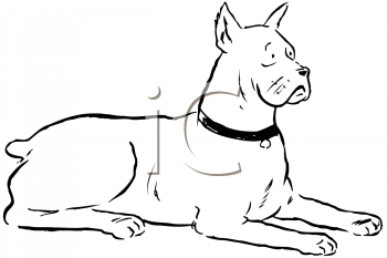 Pet Clipart