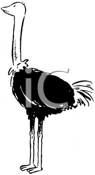 Bird Clipart