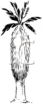 Nature and Scenic Clipart