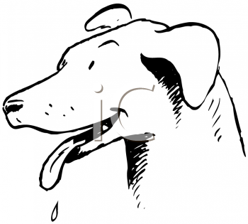 Pet Clipart