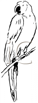 Mammal Clipart
