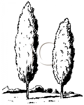 Grass and Tree Clipart