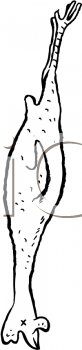 Bird Clipart