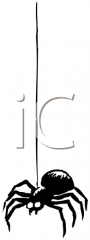 Insect Clipart