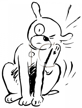 Insect Clipart