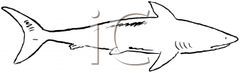 Fish and Sea Life Clipart
