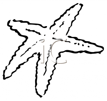 Aquatic Animals Clipart