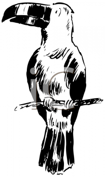 Bird Clipart