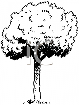 Grass and Tree Clipart