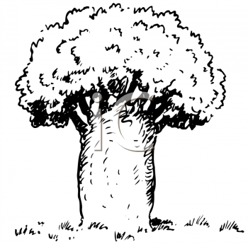 Nature and Scenic Clipart