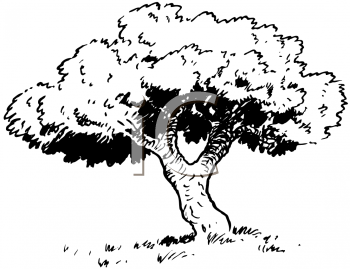 Nature and Scenic Clipart