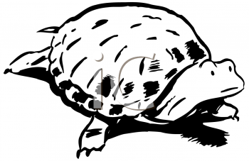 Reptile Clipart