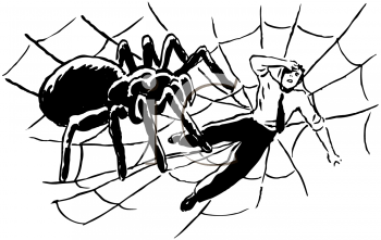 Arachnid Clipart