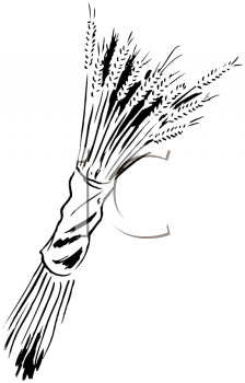 Farm Produce Clipart