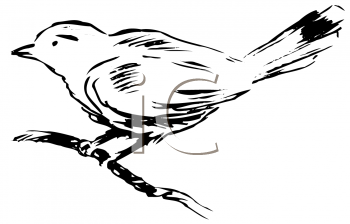 Bird Clipart