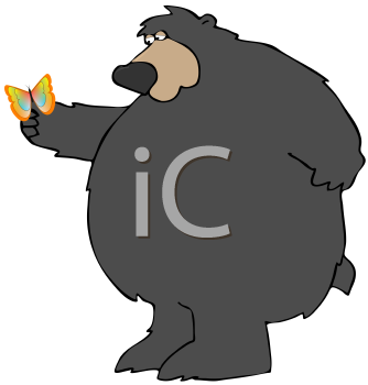 Insect Clipart