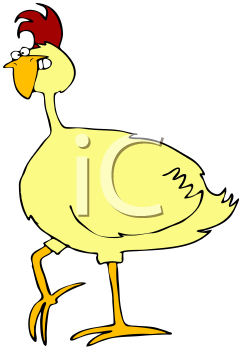 Bird Clipart