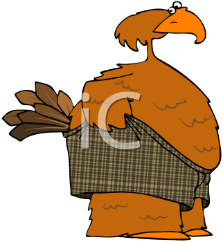 Bird Clipart