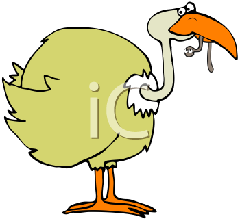 Bird Clipart
