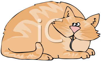 Pet Clipart