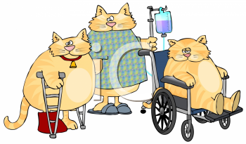 Pet Clipart