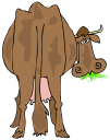 Livestock Clipart
