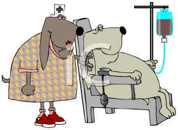 Dog Clipart