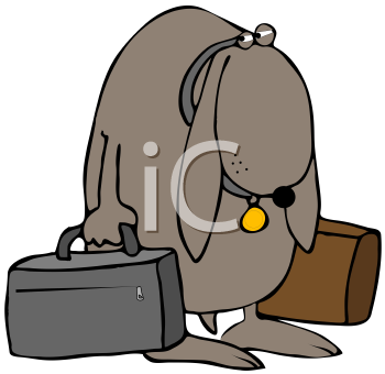 Pet Clipart